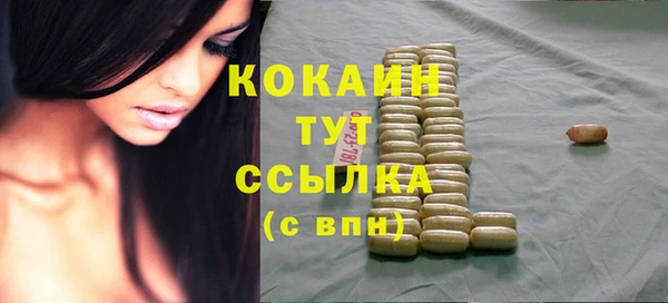 МДПВ Нея