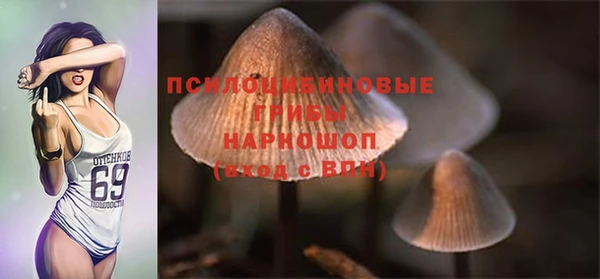 МДПВ Нея