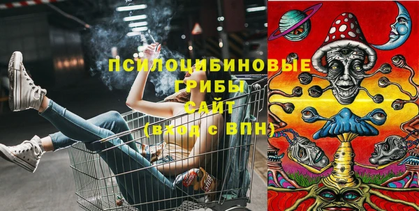МДПВ Нея